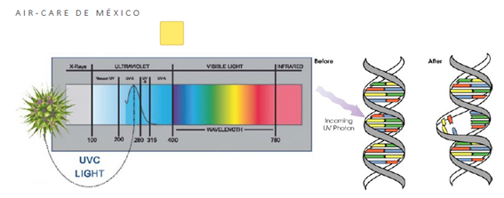 UV-C